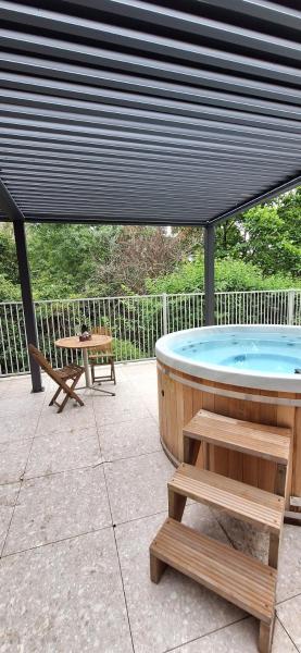 Treetop Retreat with Private Spa Mountain Views